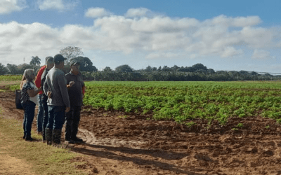 Recorrido de las Autoridades Municipales por Programas Sociales y Productivos en la Isla de la Juventud