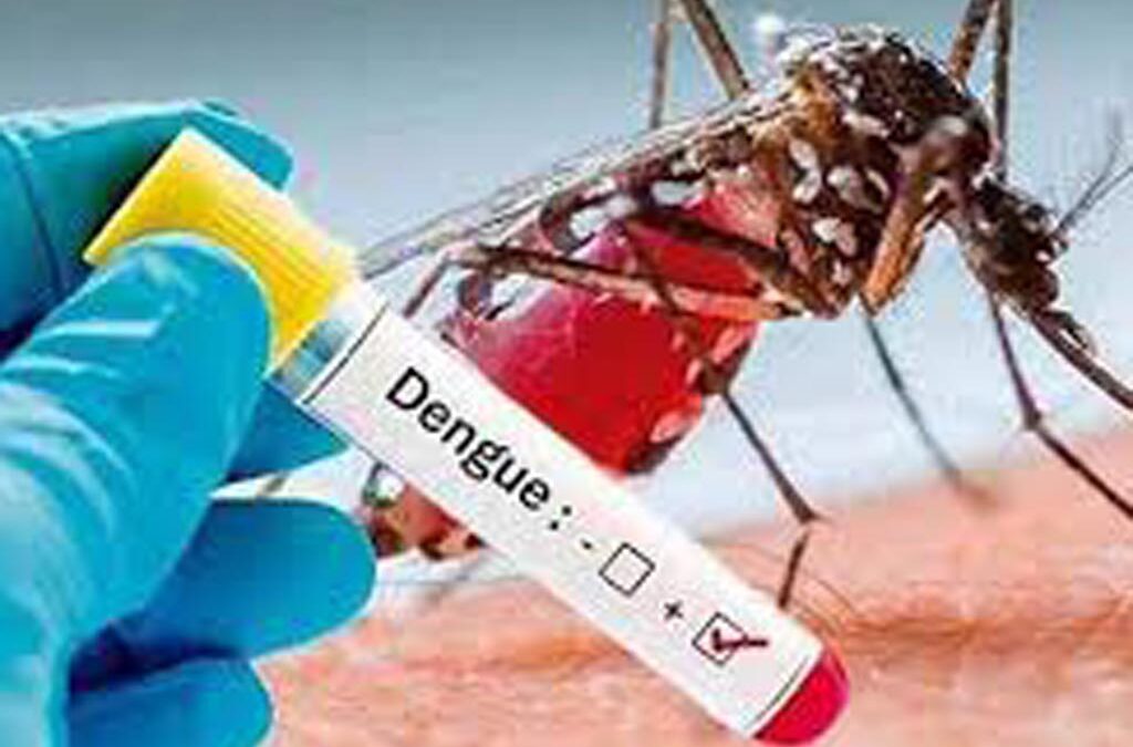 OPS insta a reforzar la vigilancia del dengue en las Américas