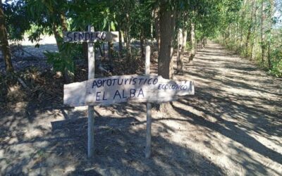 Desarrollan Taller Ecológico con productores pineros.