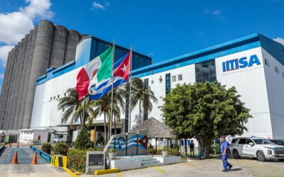 IMSA continúa trabajando para asegurar harina destinada al mercado nacional