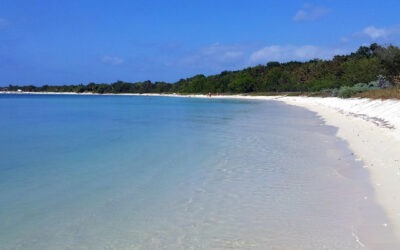 Los Tesoros de una Isla Joven