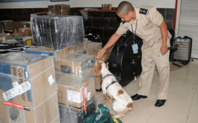 Cuba honra sus compromisos en la lucha contra el narcotráfico