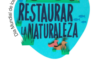 Humedales: donde la vida respira en silencio