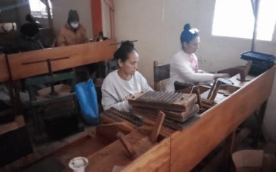 Torcedores de tabaco cumplen plan del primer mes