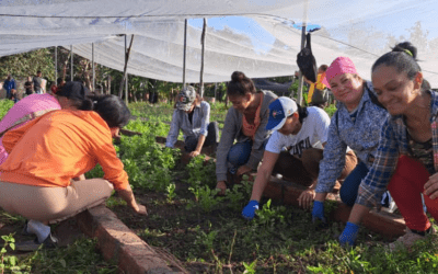 Se suman trabajadores pineros a jornada voluntaria