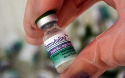 Biomodulina T para disminuir las secuelas del Chikungunya