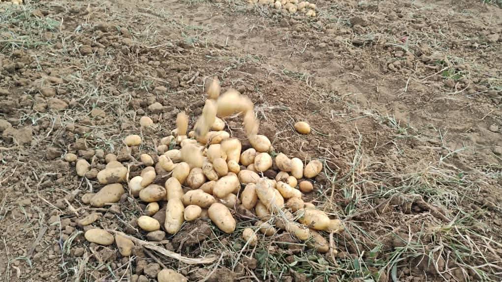 FB_IMG_1773438978887