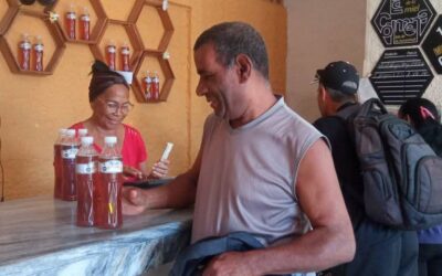 La miel pinera, su ir y venir