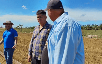 Intercambian directivos con productores pineros