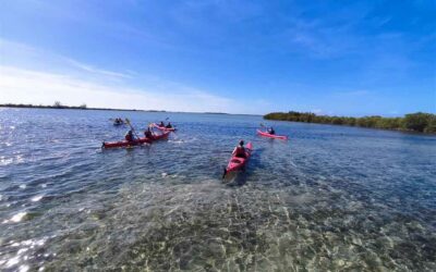 Cuba a las puertas de Turnat con atractiva naturaleza