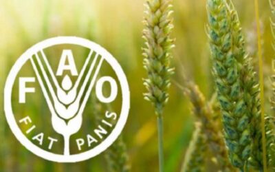 FAO alerta de catástrofe alimentaria por crisis en estrecho de Ormuz