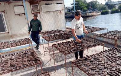 Jóvenes de la empresa Pesca Isla en faena por la economía