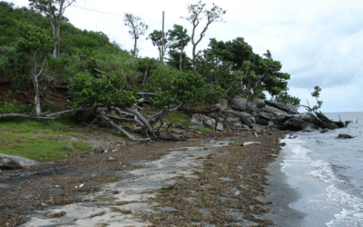 Festeja el CITMA aniversario 32