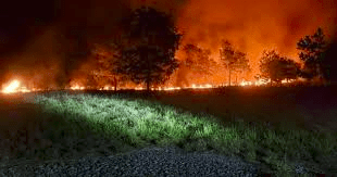 Discreta disminución de incendios forestales en Isla de la Juventud