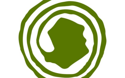 Isla Verde: donde el cine siembra conciencia y florece la esperanza