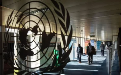 OMS decreta «emergencia internacional» por brote de ébola