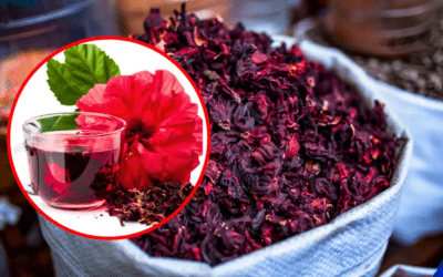 El Poderío En La Salud De La Flor Más Consumida En México