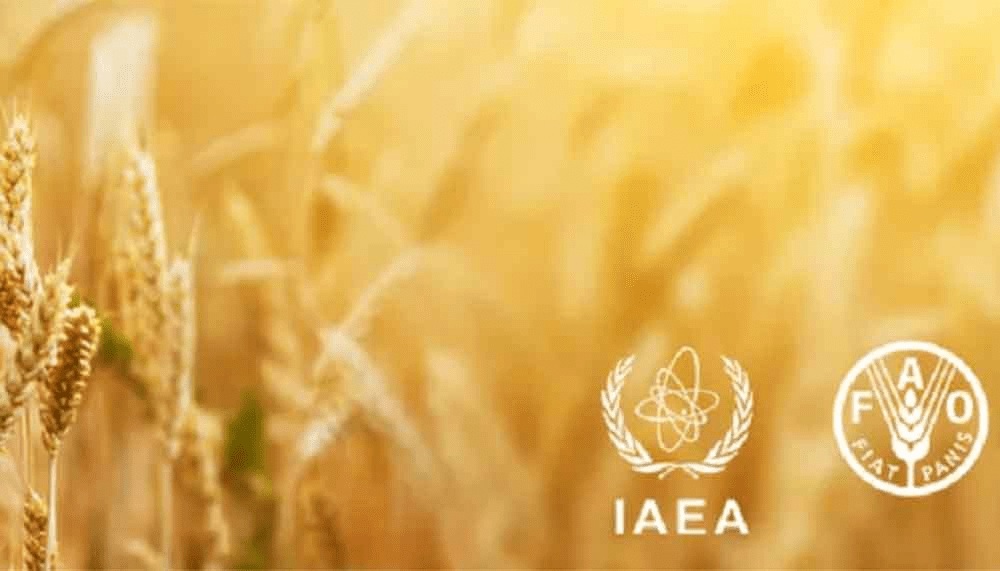 Participa Cuba en reunión sobre alimentación y agricultura de OIEA