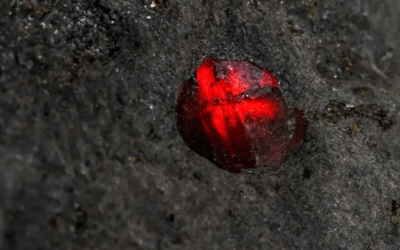 Científicos descubren sorpresa en el interior de un meteorito marciano
