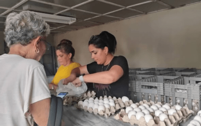 Un pinero dispuesto a cooperar con la alimentación del pueblo