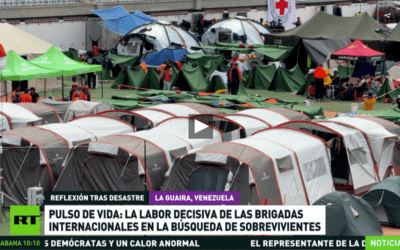 Pulso de vida: la labor decisiva de las brigadas internacionales en la búsqueda de sobrevivientes