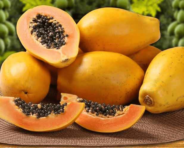 Se trabaja para incrementar cultivo de la fruta bomba