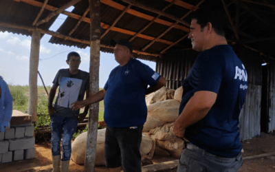 Chequean programas de producción agrícola